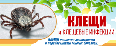 Клещевые инфекции